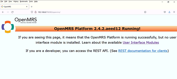 Openmrs no interface