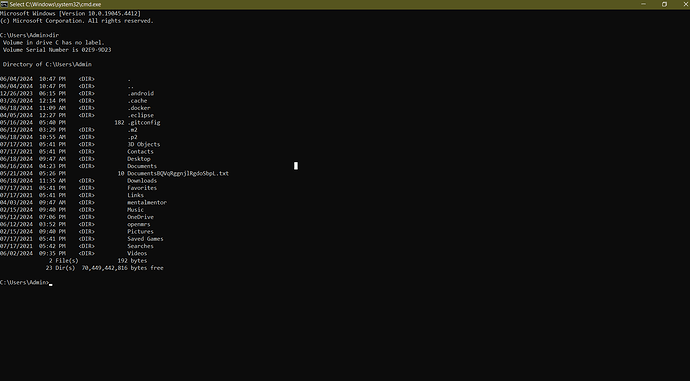 C__Windows_system32_cmd.exe 6_18_2024 12_05_15 PM