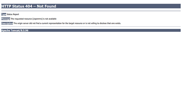 screencapture-localhost-8080-openmrs-2025-07-15-11_18_30