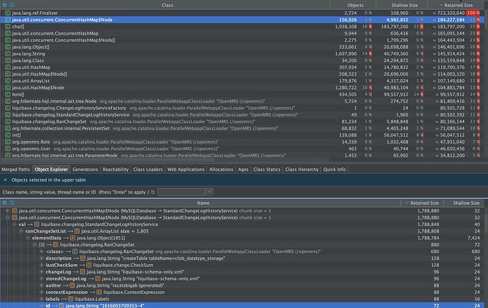 Screenshot of Memory profiling done on the environment