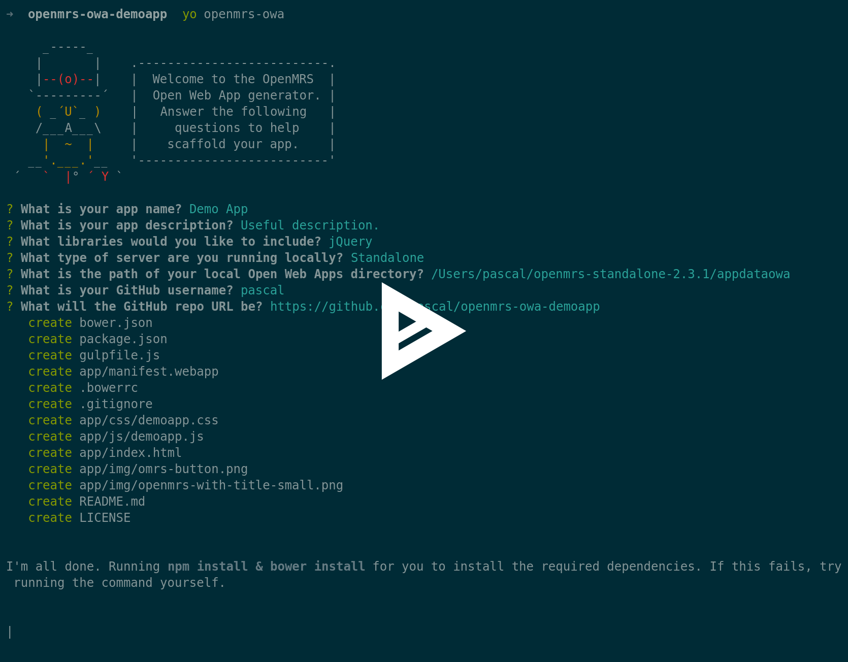 OpenMRS OWA Asciicast