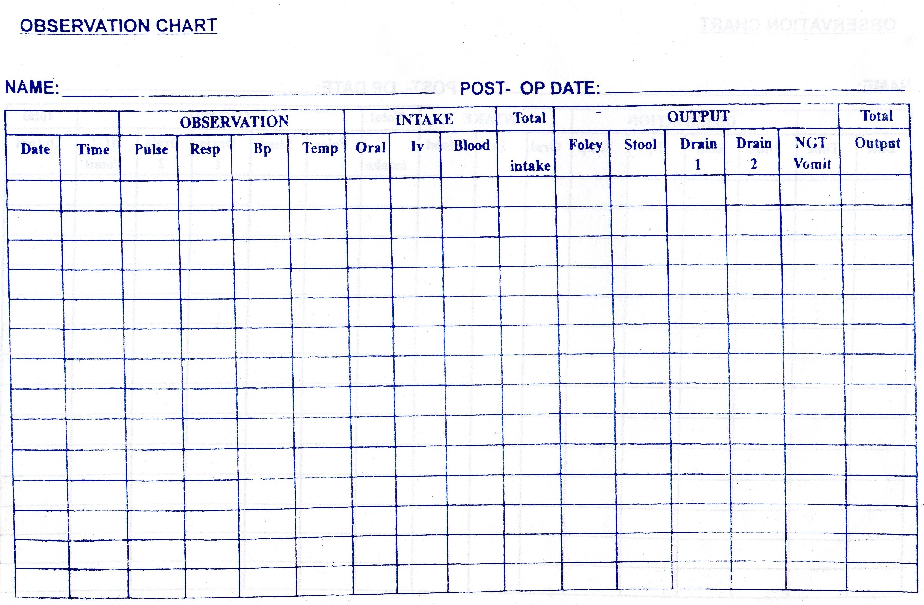 Patient Observation Chart Template